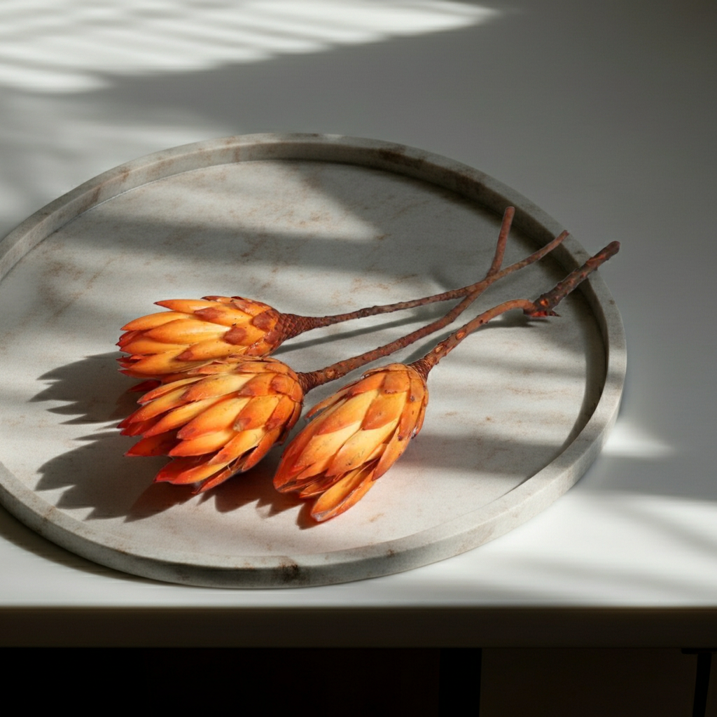 Protea Repens Big – sušený květ v oranžové barvě pro elegantní aranžmá